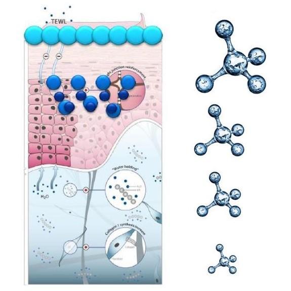 BOHO HydraSerum Serum de față cu 4 mase diferite de molecule de acid hialuronic, 30ml - Bijuterii TV