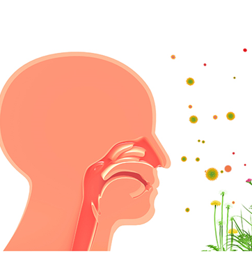 Vaporizator Aromaterapie cu Lumini și Ultrasunete GMed