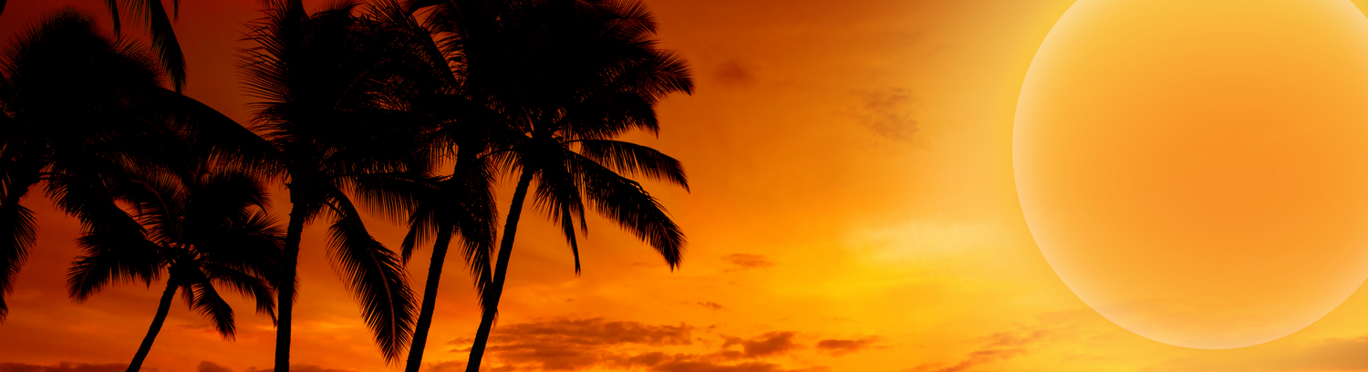 EXTRA -30% 🔥 Colecția Apus de soare 🌞